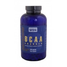 BCAA Charger