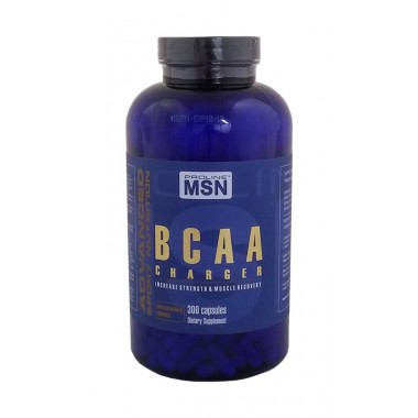 BCAA Charger