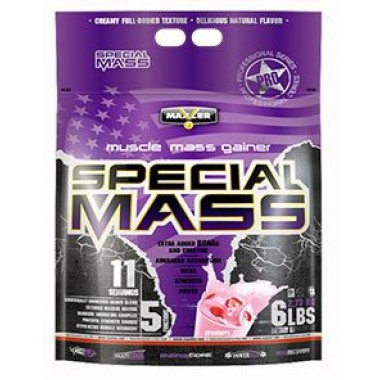 Special Mass Gainer