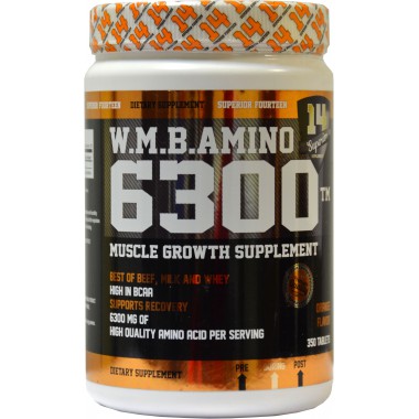 W.M.B. AMINO 6300