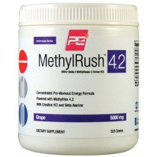 MethylRush 4.2