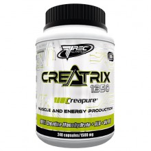Creatrix