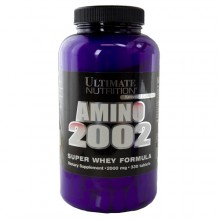 Amino 2002