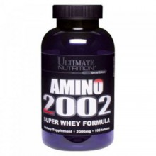 Amino 2002