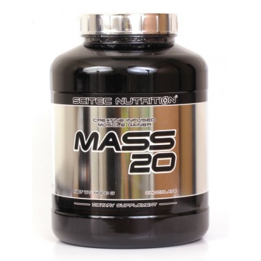Mass 20